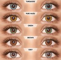 Image result for 19Mm Contact Lenses