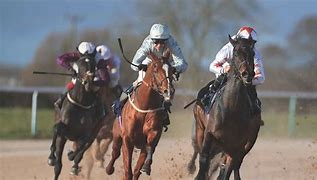 Image result for Horse Racing Films DVD