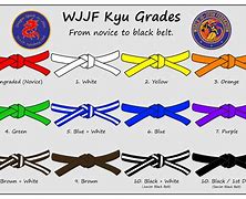 Image result for Karate 1st Kyu Brown Belt
