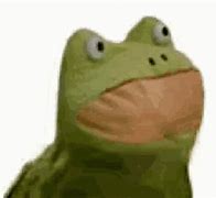 Image result for Frog Soup Meme