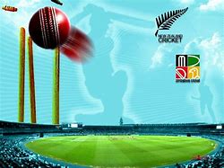 Image result for Cricket Ball Background