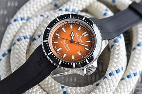 Image result for Orange Diver Watch