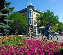 Image result for Marcey Smith Fort Collins