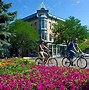 Image result for Fort Collins Pictures