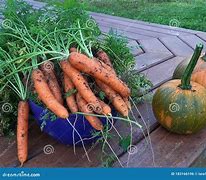 Image result for Small Farm Food