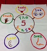 Image result for Pictures of the 5 Senses Kindergarten