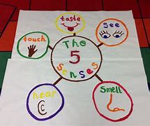 Image result for 5 Senses Project