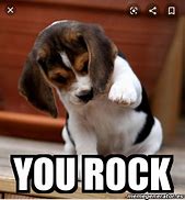 Image result for You Rock Animal Meme