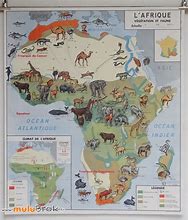 Image result for Africa Map Jungle