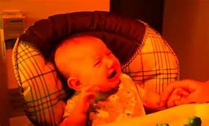 Image result for What Baby Vine