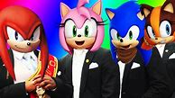 Image result for Knuckles the Echidna Amy