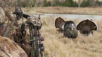 Image result for Turkey Hunting Computer Wallpaper