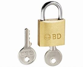 Image result for BD Sharps Security Lock