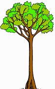 Image result for Tall Tree Cartoon