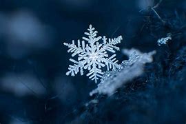 Image result for Linked Snow Flakes