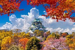 Image result for Japan Sightseeing