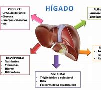 Image result for ahigaeado