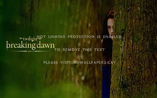Image result for Twilight Breaking Dawn Original Baby