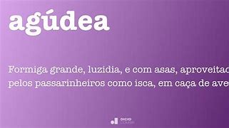 Image result for agudea