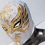 Image result for Luchador Costume