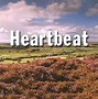 Image result for Heartbeat Uk Tv Series