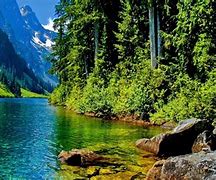 Image result for 4K Nature Wallpaper Widescreen