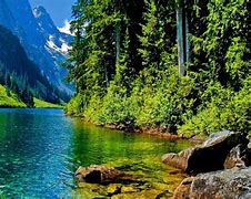 Image result for HD Nature Wallpapers