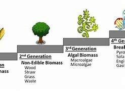 Image result for Generations of Biofuels