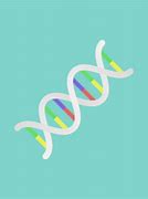 Image result for DNA and Genes for Kids