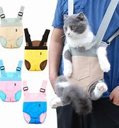 Image result for Cat Backpack Harness