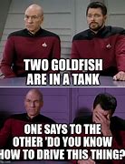 Image result for Star Trek Picard Doll Meme Riker