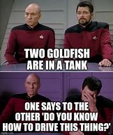 Image result for Best Picard Riker Memes