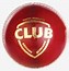 Image result for Mini Cricket Clip Art