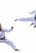 Image result for Martial Arts Training Post
