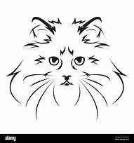 Image result for Black and White Cat Face Drawing