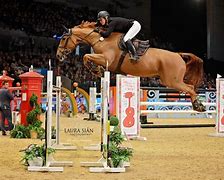 Image result for Show Jumping Photography