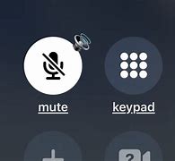 Image result for Mute Button Icon iPhone