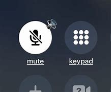 Image result for Mute iPhone Icone On Call