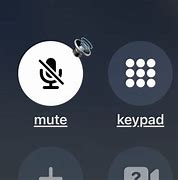 Image result for What Does iPhone Mute Button White or Black