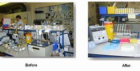 Image result for Laboratory 5S System