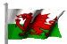 Image result for Snowdonia N Wales