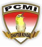 Image result for Pcmi Cards