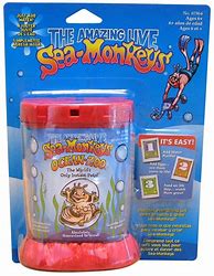 Image result for Ocean Sea Animal Toys