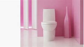 Image result for Push Button Dual Flush Toilet Parts