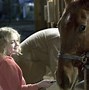 Image result for Horse Show Movie