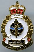 Image result for CFB Germany Pin