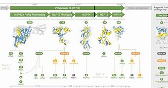 Image result for Images of How Covid 19 Replicates