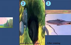 Image result for How to Rotate Screen