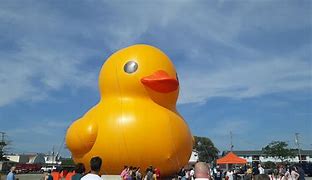 Image result for Rubber Duck Largest One in Maryland