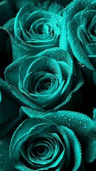 Image result for diamond roses iphone
